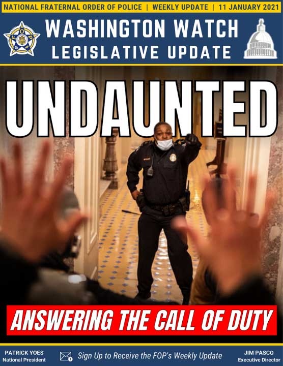 Undaunted: Answering the Call of Duty