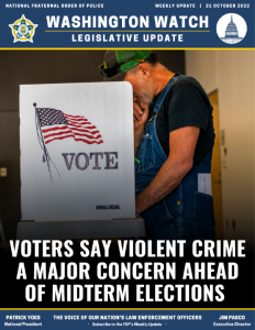 VOTERS SAY VIOLENT CRIME A MAJOR CONCERN AHEAD OF MIDTERM ELECTIONS