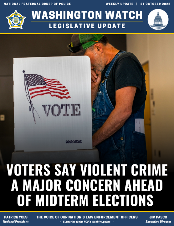 VOTERS SAY VIOLENT CRIME A MAJOR CONCERN AHEAD OF MIDTERM ELECTIONS ...