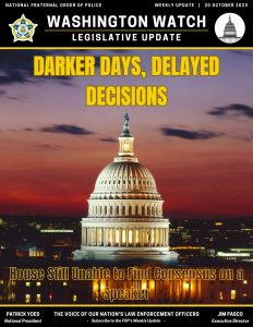Darker Delays, Delayed Decisions